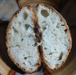 Sourdough Adventures